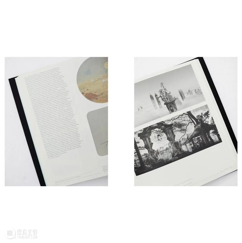 【SPURS 艺术家】邱岸雄 x Vitamin D3 艺术人文 S 崇真艺客